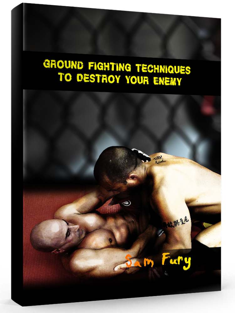 Ground Fighting Techniques to Destroy Your Enemy Cover