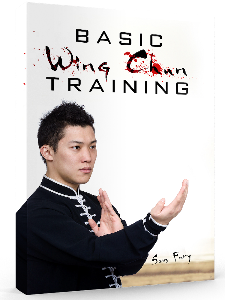 Basic Wing Chun Training Cover