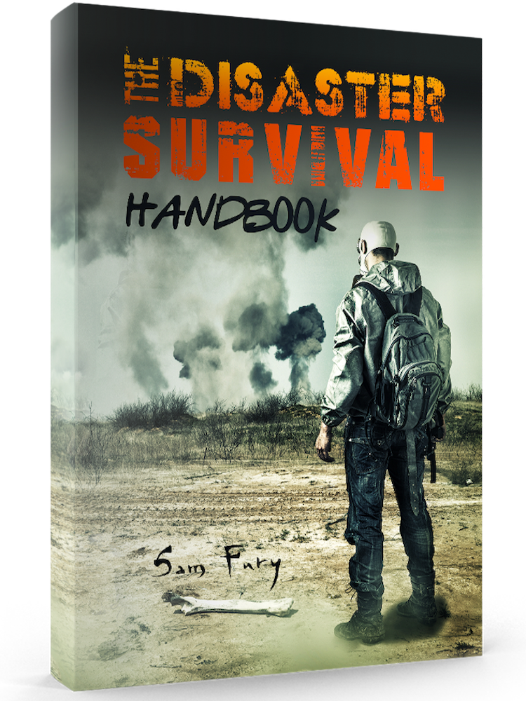 The Disaster Survival Handbook Cover