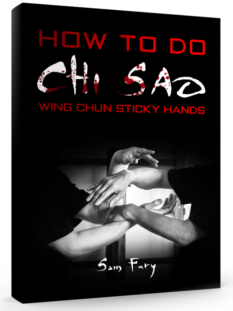 How to do Chi Sao Free Chapters